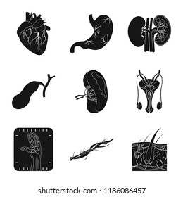 Isolated object of body and human sign. Set of body and medical vector icon for stock.