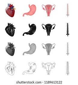 Isolated object of body and human sign. Set of body and medical stock symbol for web.