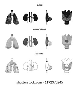 Isolated object of body and human sign. Collection of body and medical stock vector illustration.