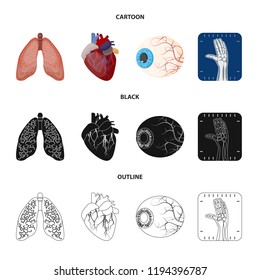 Isolated object of body and human sign. Set of body and medical stock vector illustration.