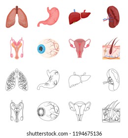 Isolated object of body and human sign. Set of body and medical vector icon for stock.
