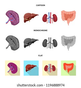 Isolated object of body and human sign. Collection of body and medical vector icon for stock.