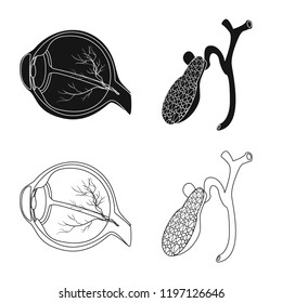 Isolated object of body and human sign. Collection of body and medical stock symbol for web.