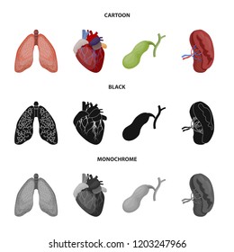 Isolated object of body and human sign. Set of body and medical stock symbol for web.