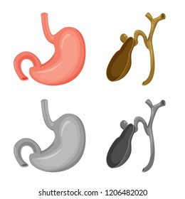 Isolated object of body and human sign. Collection of body and medical stock vector illustration.