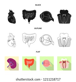 Isolated object of body and human sign. Set of body and medical stock symbol for web.
