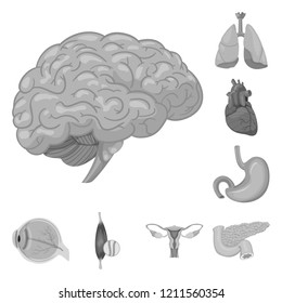 Isolated object of body and human sign. Set of body and medical vector icon for stock.