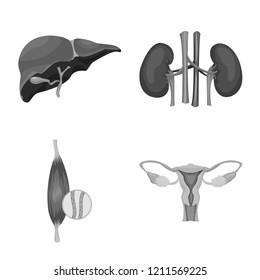 Isolated object of body and human sign. Collection of body and medical stock vector illustration.