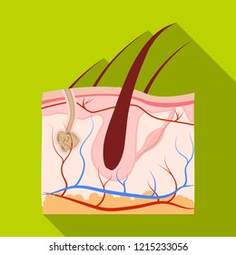 Isolated object of body and human sign. Collection of body and medical stock vector illustration.