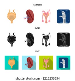Isolated object of body and human sign. Set of body and medical vector icon for stock.