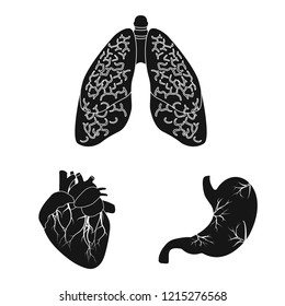 Isolated object of body and human sign. Collection of body and medical stock vector illustration.
