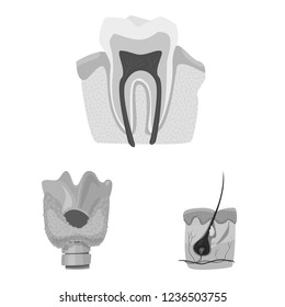Isolated object of body and human sign. Collection of body and medical stock vector illustration.