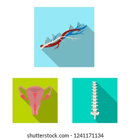 Isolated object of body and human sign. Set of body and medical stock vector illustration.