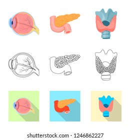Isolated object of body and human sign. Set of body and medical stock symbol for web.
