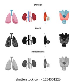 Isolated object of body and human sign. Collection of body and medical stock vector illustration.