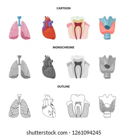 Isolated object of body and human sign. Set of body and medical vector icon for stock.