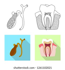 Isolated object of body and human sign. Set of body and medical stock vector illustration.