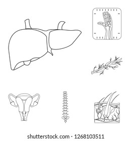 Isolated object of body and human sign. Collection of body and medical stock vector illustration.