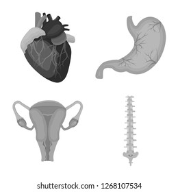 Isolated object of body and human sign. Set of body and medical stock symbol for web.
