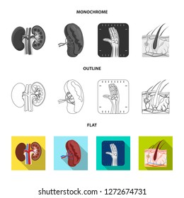 Isolated object of body and human sign. Set of body and medical stock vector illustration.