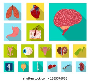 Isolated object of body and human sign. Collection of body and medical vector icon for stock.
