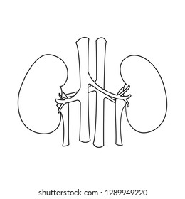 Isolated object of body and human sign. Set of body and medical stock symbol for web.
