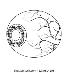Isolated object of body and human sign. Set of body and medical stock symbol for web.