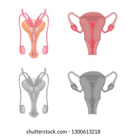 Isolated object of body and human sign. Collection of body and medical stock symbol for web.
