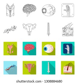 Isolated object of body and human sign. Collection of body and medical stock symbol for web.