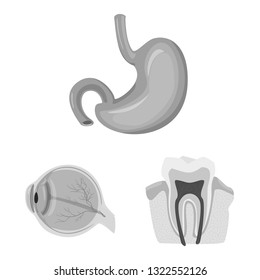 Isolated object of body and human sign. Collection of body and medical stock vector illustration.