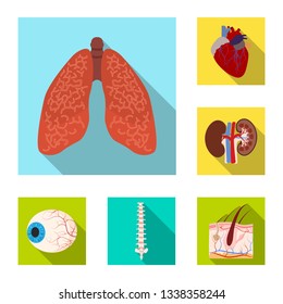 Isolated object of body and human sign. Set of body and medical vector icon for stock.