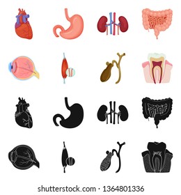 Isolated object of body and human sign. Collection of body and medical stock symbol for web.