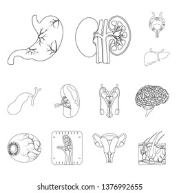 Isolated object of body and human sign. Collection of body and medical stock symbol for web.