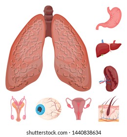 Isolated object of body and human sign. Collection of body and medical stock symbol for web.