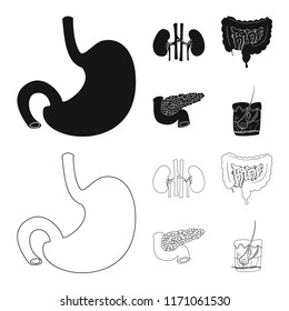 Isolated object of body and human symbol. Collection of body and medical stock symbol for web.