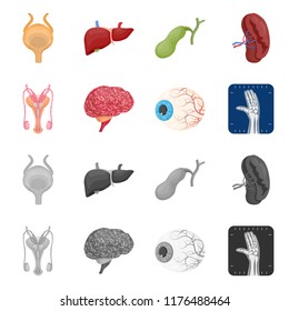 Isolated object of body and human symbol. Collection of body and medical vector icon for stock.