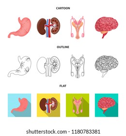 Isolated object of body and human symbol. Set of body and medical stock symbol for web.