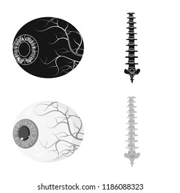 Isolated object of body and human symbol. Collection of body and medical vector icon for stock.