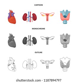 Isolated object of body and human symbol. Collection of body and medical stock symbol for web.