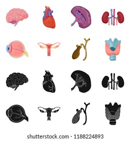 Isolated object of body and human symbol. Set of body and medical stock vector illustration.
