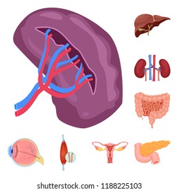 Isolated object of body and human symbol. Set of body and medical stock symbol for web.