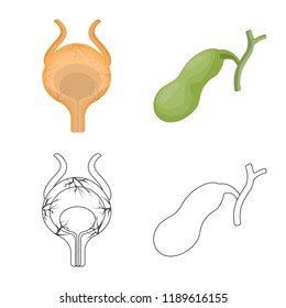 Isolated object of body and human symbol. Collection of body and medical vector icon for stock.