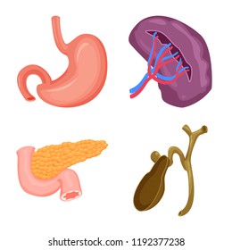 Isolated object of body and human symbol. Collection of body and medical stock symbol for web.