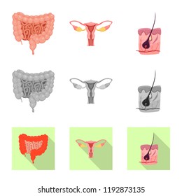 Isolated object of body and human symbol. Collection of body and medical vector icon for stock.