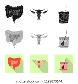 Isolated object of body and human symbol. Set of body and medical vector icon for stock.