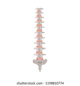 Isolated object of body and human symbol. Collection of body and medical stock vector illustration.