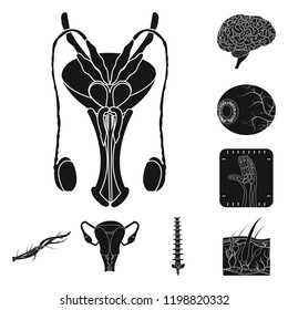 Isolated object of body and human symbol. Collection of body and medical vector icon for stock.