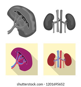 Isolated object of body and human symbol. Set of body and medical stock symbol for web.