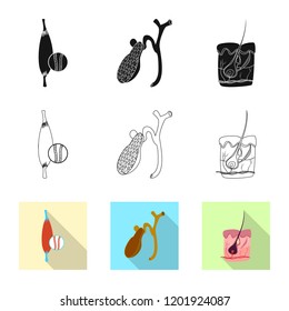 Isolated object of body and human symbol. Set of body and medical stock symbol for web.