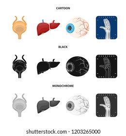 Isolated object of body and human symbol. Collection of body and medical vector icon for stock.